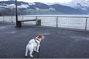 Luzern järven rannalla